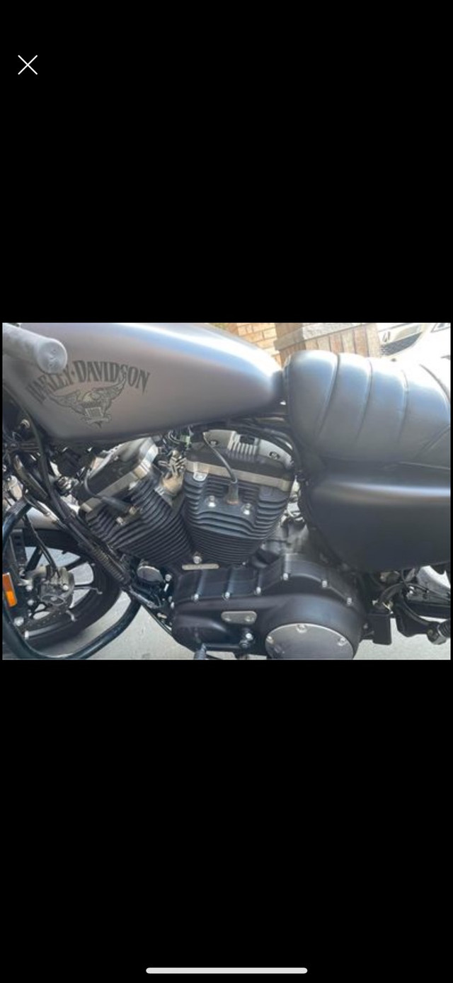 2017 Harley Davidson XL883N Sportster in Sport Touring in Mississauga / Peel Region - Image 3