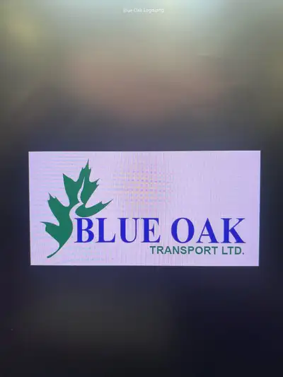NEED TEAM DRIVERS FOR US, View more