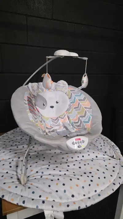 Fisher-Price Bouncer, View more