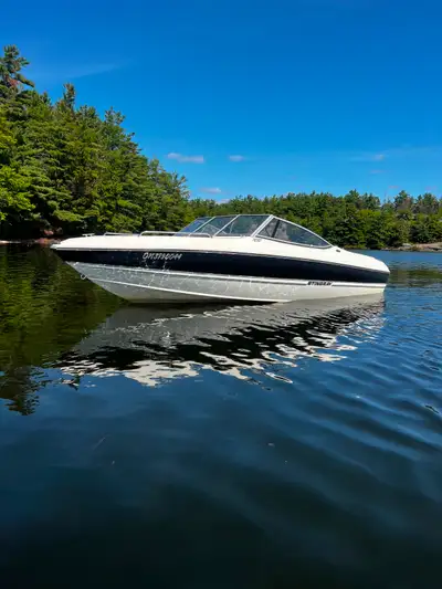 2013 Stingray 195LX, View more