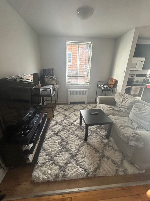 Apartment for Sublet in Short Term Rentals in Ottawa - Image 2