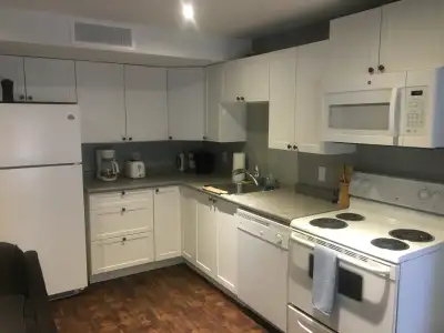 All inclusive walkout basement apartment in a quiet, family neighbourhood on Cook street in Lindsay,...