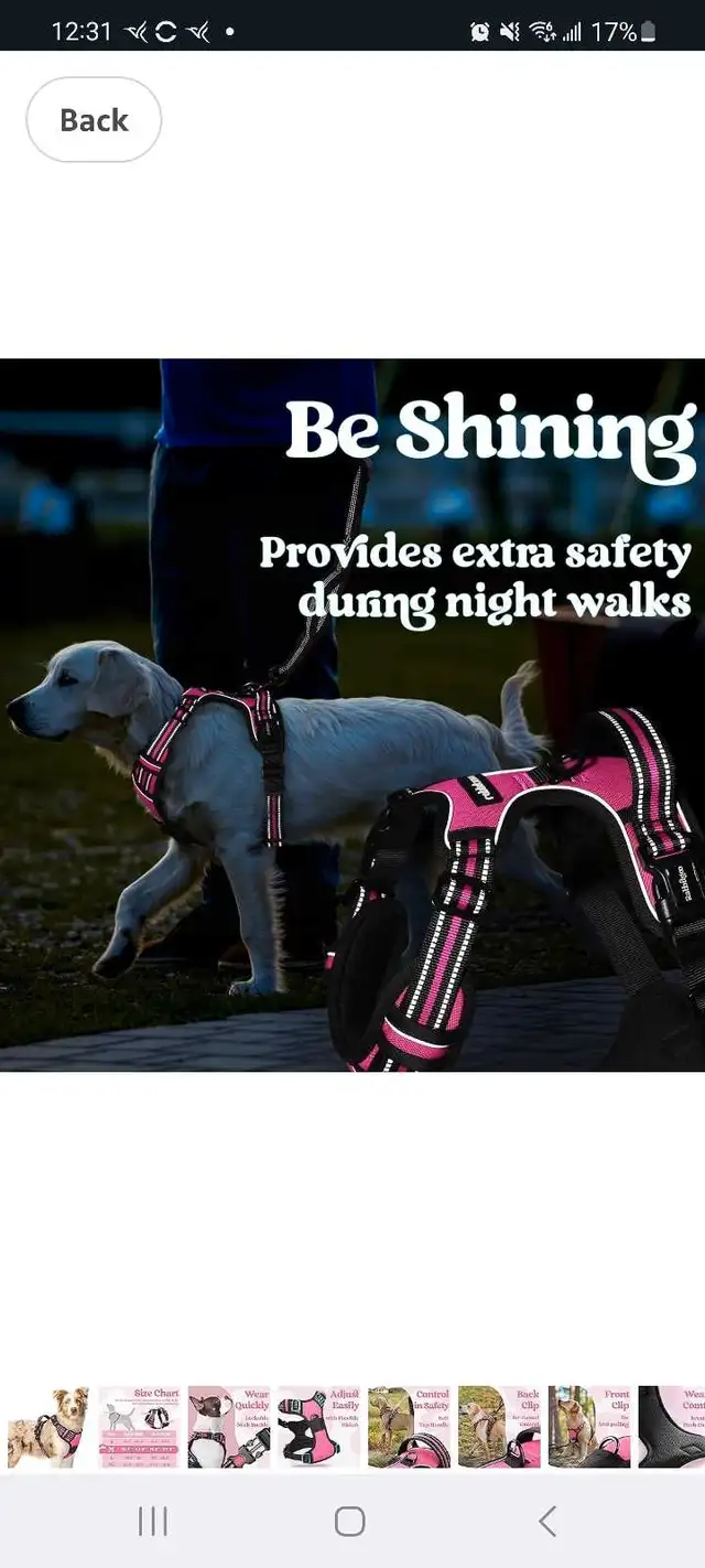 Dog Harness63006660372481124
