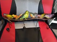Metal Bird Coat Rack