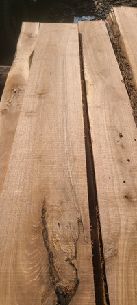 Maple live edge to 14 feet 24 inches wide