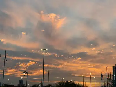 Sitter & Nanny, View more