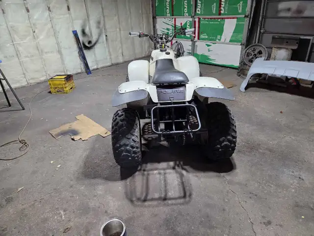 Crazy 8's Auto 64985458190082124