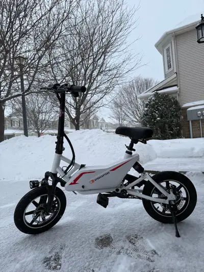 Gyrocpters Electric Scooter, View more