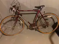 vintage 10 speed bike for sale