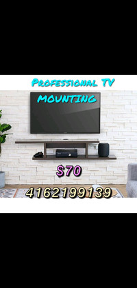 TV Mounting & Handyman work Experience Call 4162199139