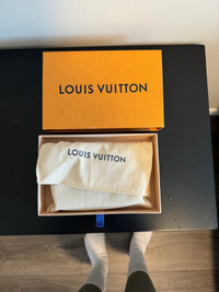 Authentic Louis Vuitton Mini Pochette 