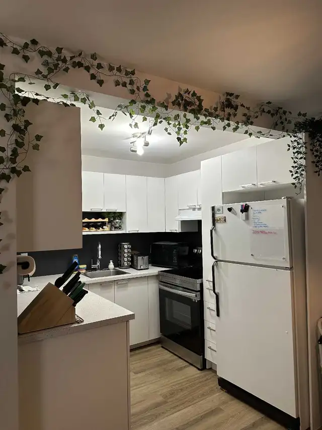  4 1/2 Disponible - Dès le 1er décembre 2025 in Long Term Rentals in Saguenay - Image 3