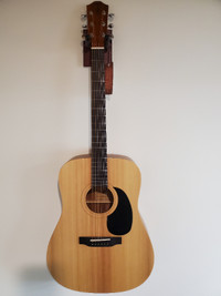 Teton Acoustic Guitar (Brand New)