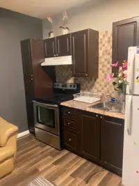 FULLY FURNISHED 1 BEDROOM BASEMENT SUITE **AVAIL IMMEDIATELY