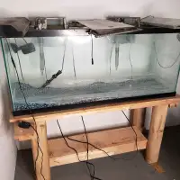 Fish tank - make an offer