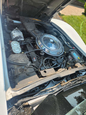 1981 Chevrolet Corvette