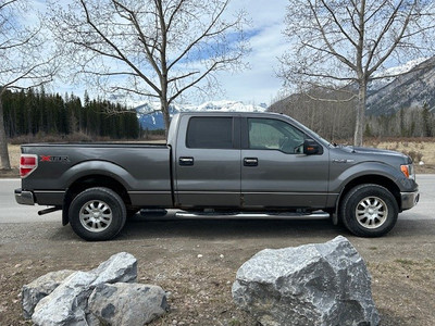 2010 Ford F 150 4x4 Super Crew Cab Truck For Sale