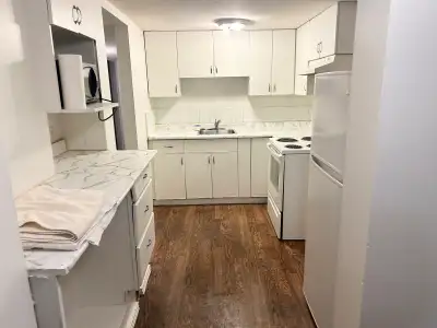 This is a family oriented Basement Suite for rent in North Delta BC! The unit offers a bright and co...