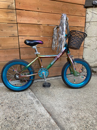 Rainbow Racer Bike