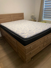 Queen Bed with 8 drawer storage underneath