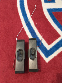 PAIR SPEAKERS FOR TCL 55S434-CA