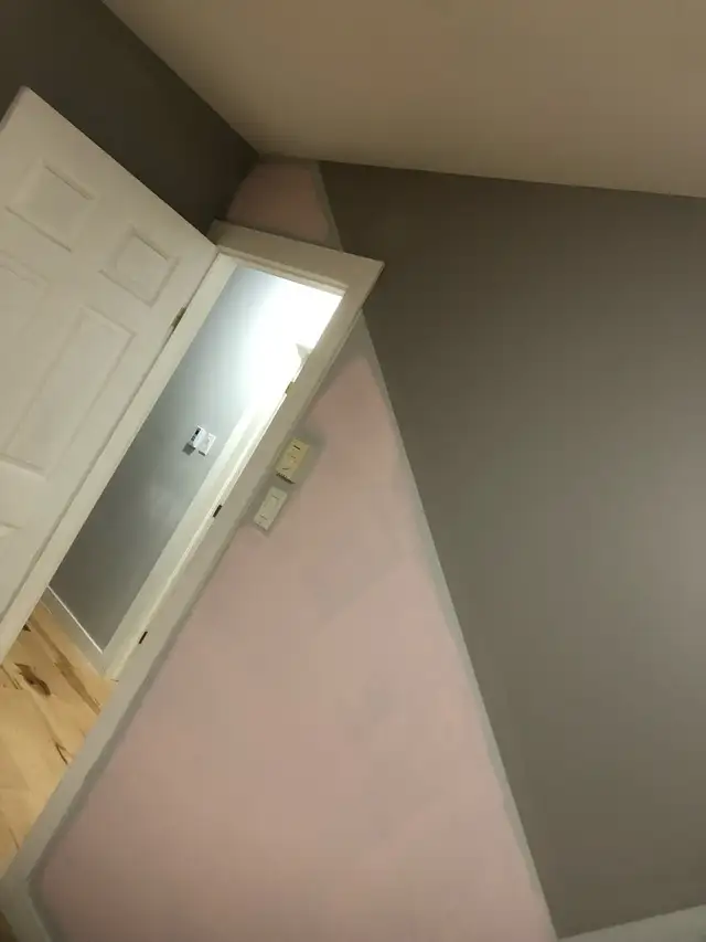 Pro painting538893037077145601