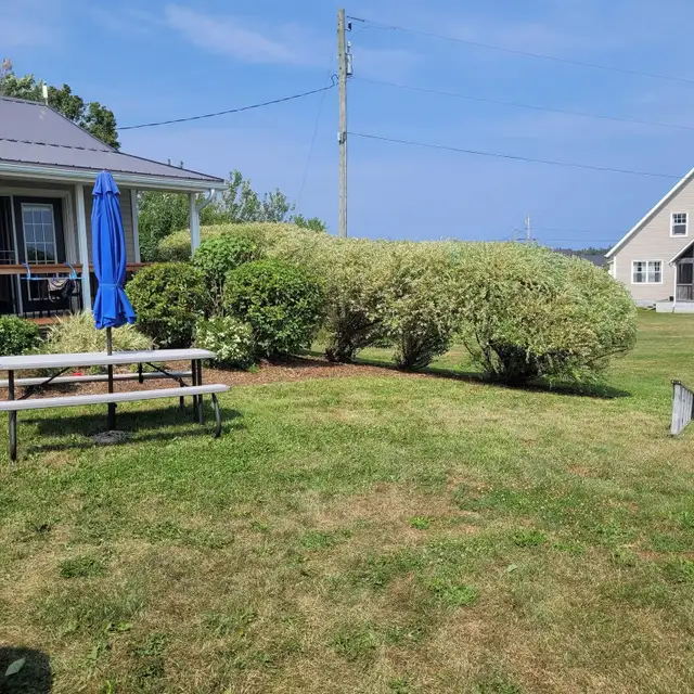 Landscaping&Spring cleanups in Lawn, Tree Maintenance & Eavestrough in Charlottetown - Image 8