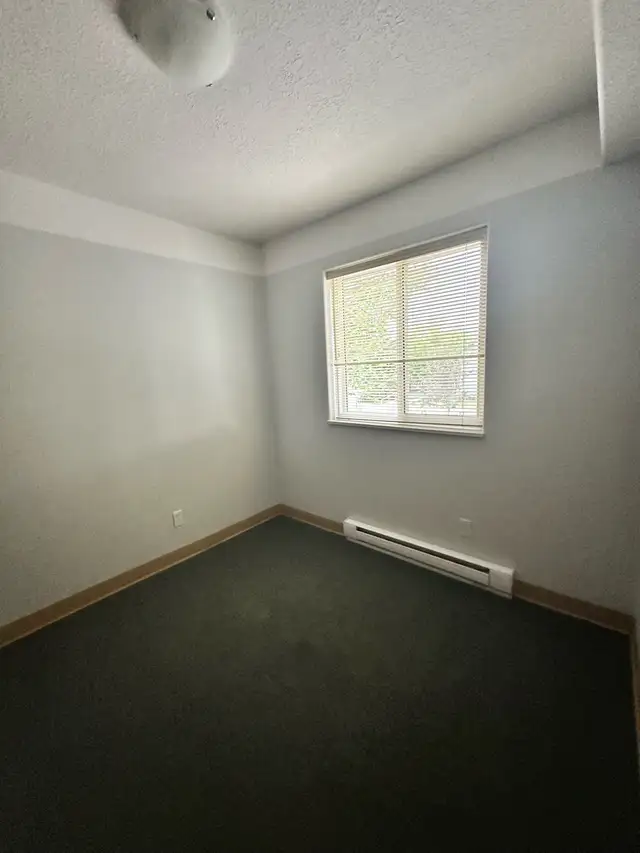 room for rent in Room Rentals & Roommates in Brandon - Image 3