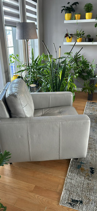 Sofa et fauteuil en cuir véritable de couleur gris NÉGOCIABLE 