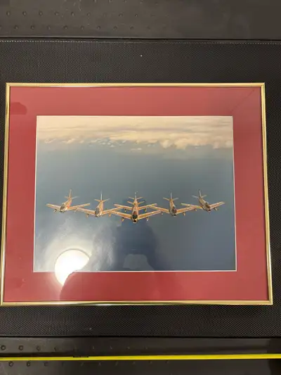 framed Golden Hawks photo, View more