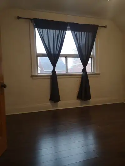Large furnished room for rent, downtown ossington/college