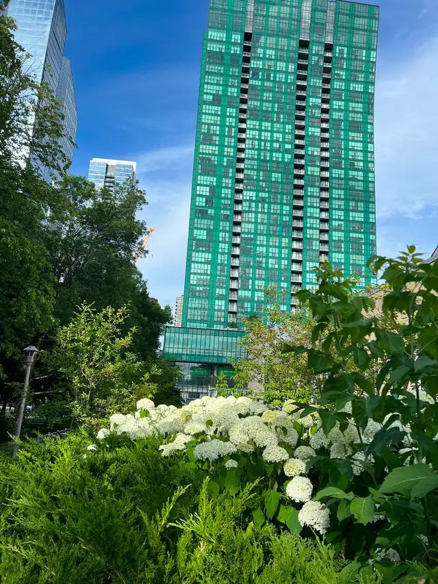 Private Room For Rent