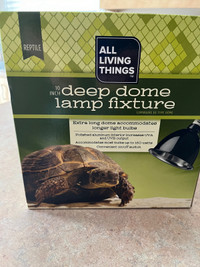 Turtle lamp. $10