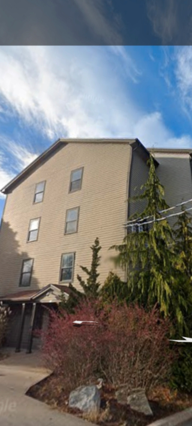 Large One Bedroom Apartment Fairview Long Term Rentals City of