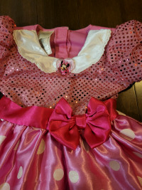2T-3T Disney Minnie Mouse Dress