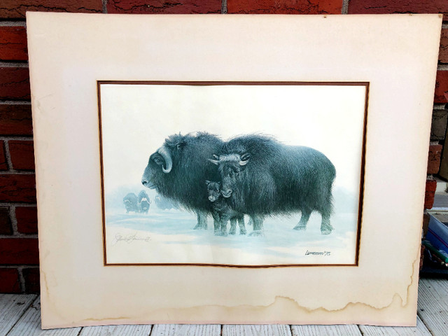 James Lumbers "MUSK OXEN" (1975) Limited Edition Print (signed b in Arts & Collectibles in St. Catharines - Image 4