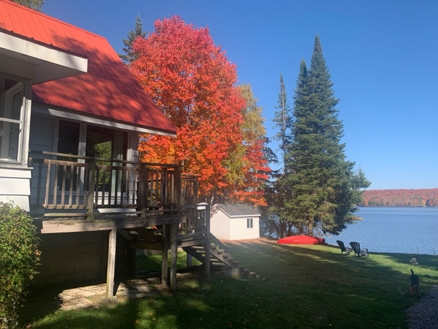 Tranquil Muskoka Cottage on Buck Lake in Ontario