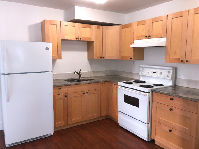 Updated 3 Bedroom Townhouse in Long Term Rentals in Smithers