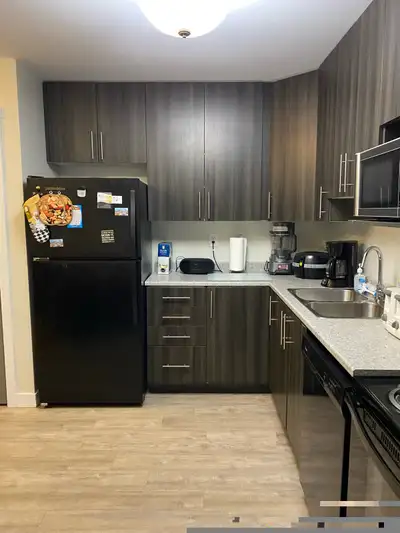 Spacious one bed / one bath apartment to sublet Jan1 -June1 . JANUARY ONE MONTH FREE RENT ,FEBRUARY...