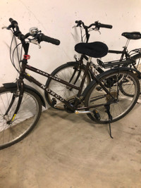 Male and female bikes