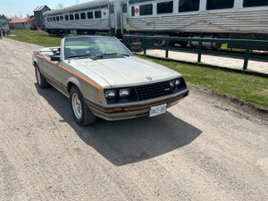 1981 Ford Mustang Ghia 