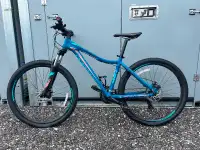 Adult Giant Liv mountain bike