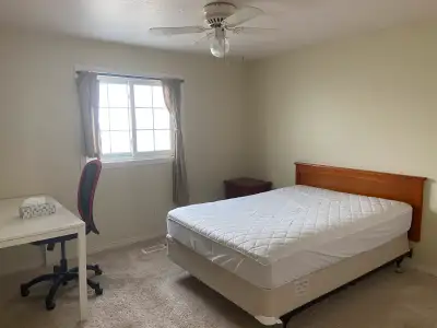 Female roommate wanted