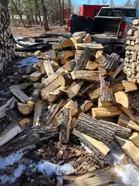 Basswood firewood 
