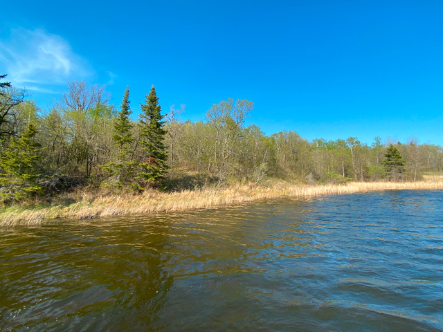 Lot 14 Big Narrows - 2.47 Acres, 343 feet of Frontage! in Land for Sale in Kenora - Image 2