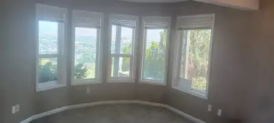 Gorgeous ground-level unit