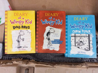 Diary of  a Wimpy Kid Books #1,4,6