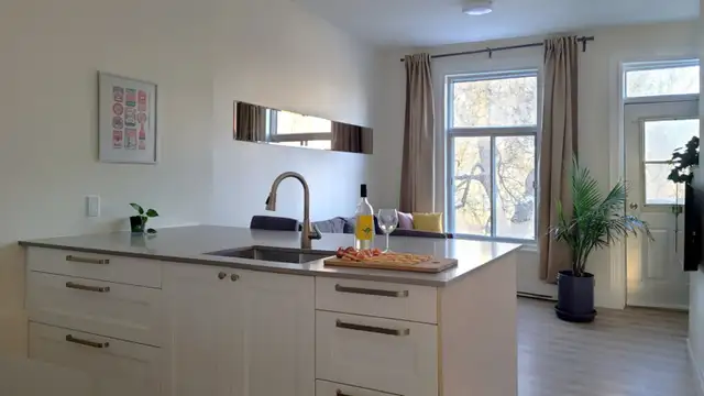 Super Suny Top-FL downtown apt, Renovated,Furnished,All included