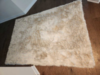 Shag carpet 
