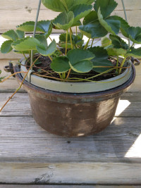 COPPER POT WITH CARRY HANDLE FROM 1953